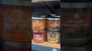ALDIs NEW FALL 3 WICK CANDLES 🤩