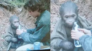 This Group of Hikers Claims They Saved a Bigfoot Infant -  Sasquatch Encounter Stories