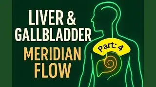 Healing the Liver & gallbladder meridian: The Lower - Part 4