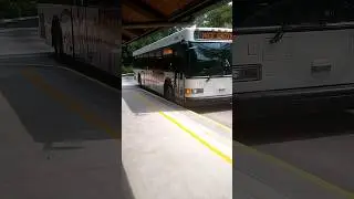 Magic Kingdom Bus comes to pick us up at Disney's Animal Kingdom Lodge Jambo House