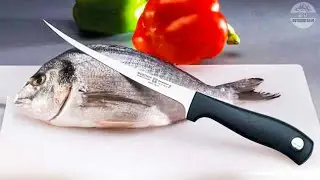 Best Fishing Knives 2023 - Top 7 Best Fishing Knives on Amazon
