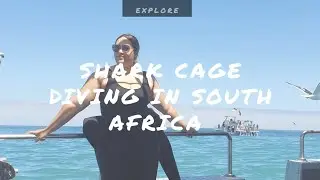 EXPLORE: Shark Cage Diving in South Africa