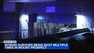 Woman survives being shot 11 times by ex-boyfriend at Mount Prospect condo building, mayor says