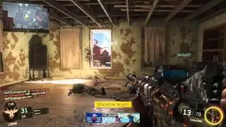 Getting Bliss Camo on the Locus (BO3)