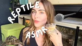 ASMR Reptile Chores 🐢🎤