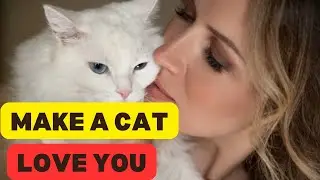 How To Love Your Cat As A Cat Parent|| 07 Scientific Ways to Get a Cat to Like You
