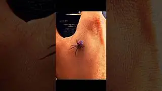 BIRTH OF SPIDERMAN 🥶 | Tobey Maguire's Spiderman Skull Edit | MXZI - MONTGEM TOMADA (Slowed)