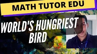 World's Hungriest Bird - Explained in Tamil | Math Tutor Edu | GK#27