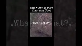 Skinwalker or Rake Chases Man In Woods