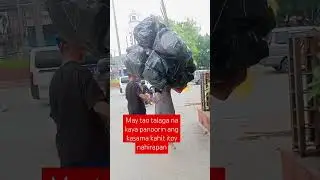 #pulubi
