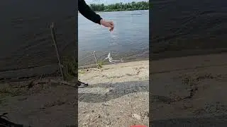 Рыбалка 🐟 в России #discover #Russian #river #province #fishing #улов  #beach #рыбак #рыбалка #отдых
