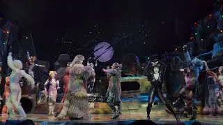 뮤지컬 캣츠 커튼콜 C구역 중앙