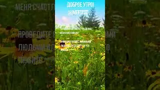 Доброе утро! #travel #море #technology #technology #природа #photography #топ #music #мир #музыка