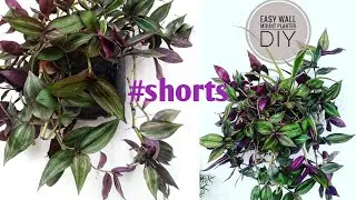 Diy Planter/Wall Mount Planter/Planter/ #hildacrafty #shorts #ytshorts #diytutorial #gardendecor