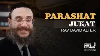 PERASHAT JUKAT - Rab David Alter