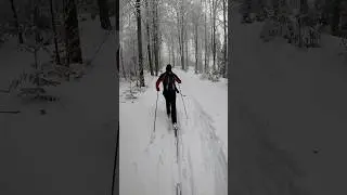 W kierunku Jaworzyny #backcountryskiing#backcountry #beskidsadecki #malopolska #zima #winter #narty