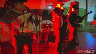Perlas negras con red bull en Norteño banda - Alterados NB
