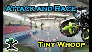 Tiny Whoop Attack and Race  - Acro Mode