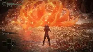 Malenia rl1 no hit (no bleed/frost/bloodhoundstep/physics flask/ash of war)