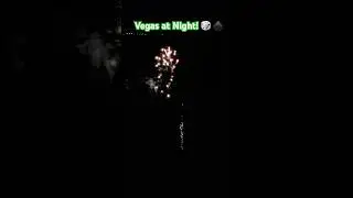 VEGAS AT NIGHT Firework 19 Shots - Sky Bacon Fireworks 🐷 🎲