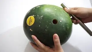 SECOND ATTEMPT ! AMAZING WATERMELON JUICE EXPERIMENT