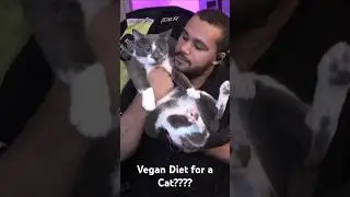 Don't Feed Your Cats a Vegan Diet ft. Vegan Gains