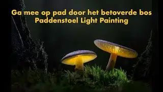 Op pad in het betoverde bos - Paddenstoel light painting