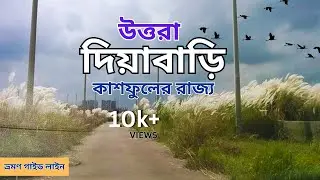 Uttara Dia Bari || উত্তরা দিয়াবাড়ি || দিয়াবাড়ির কাশফুল || হৃদ কুটির - Hrid Kutir