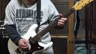 Zen on ZES 300 & PEAVEY 6505 MH Mini Head Japan Edition  002
