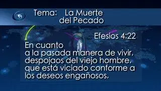 Tema La muerte del Pecado TVGracia