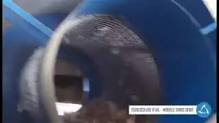 Egousseuse d'ail gros débit - CCM Equipement