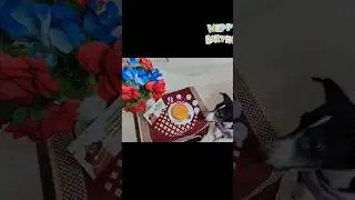 Birthday celebration #Happy Birthday Leo#youtube #shortvideo