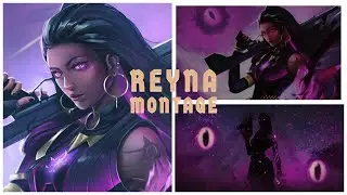 Insane Reyna OutPlays