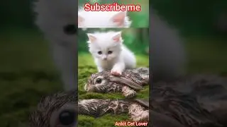 Cute cat with rabbit 🐇 help #ai #cat #animals #rabbit #reels #like #