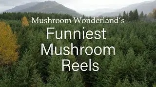 Funniest Mushroom Reels Compilation