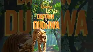 दास्तान-ए-दुधवा शुरू! 🐅 Dudhwa Reopens
