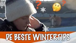Paarden verzorgen in de winter | PaardenpraatTV