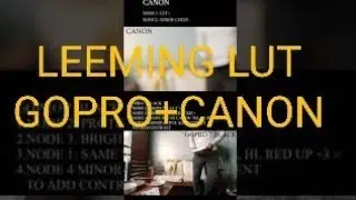 Matching GoPro and Canon footages with Leeming LUT for GoPro 7 Black & Leeming LUT for Canon EOS