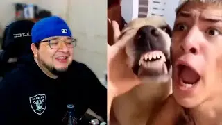 Increíble, un perro que canta Heavy Metal | Clipsillos Graciosillos #7