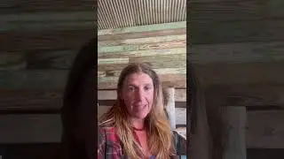 Support WNC Helene Survivors via Reverence Farms
