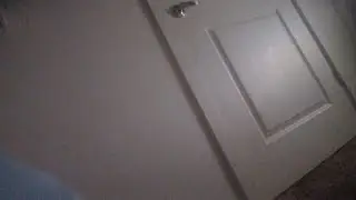 Fear