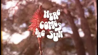 NICOLI CAPSULE COLLECTION &ndash; PRE AW21 CAMPAIGN &ndash; HERE IS THE SUN