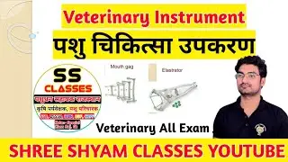 Veterinary Instruments For Bsf Veterinary Exam || Veterinary Instruments || Bsf veterinary old Paper