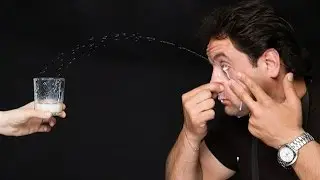 10 Stupid Guinness World Records Ever