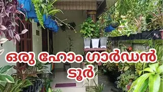 Home Garden Tour Malayalam | വരു നമുക്ക് ഒരു ഗാർഡൻ കാണാം