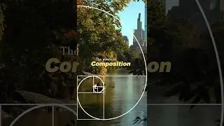 The Power of Composition