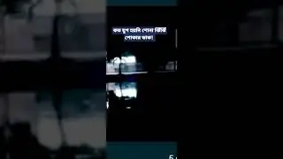 The sounds of insects in the middle of the night 2.