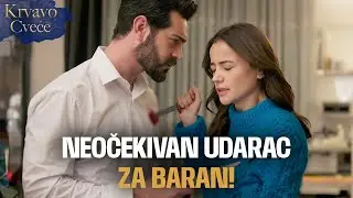 Dilan je Izbola Barana! | Sa bosanskim titlovima | Kan Cicekleri