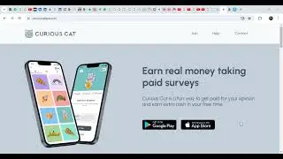 Curious Cat: Paid Surveys. Legit survey sites that pay real money