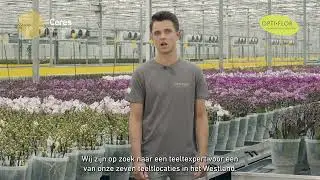 Teeltexpert Orchidee&euml;n - Opti-flor